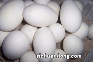 鹅蛋用什么盐