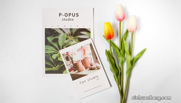 郁金香的花语和象征意义 郁金香的花语