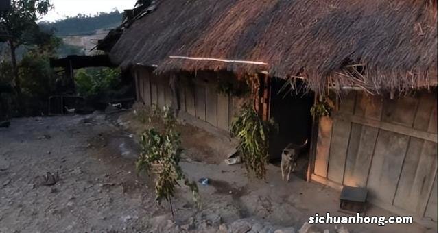 在老挝旅游，门口挂树枝的人家不要进，当地人：进去了会惹麻烦