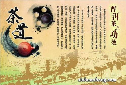2012年栾氏普洱怎么样
