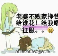 亲情不过如此的句子