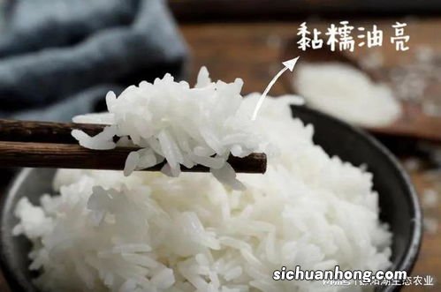 新鲜大米怎样保存多久