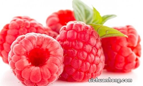 覆盆子茶怎么冲泡