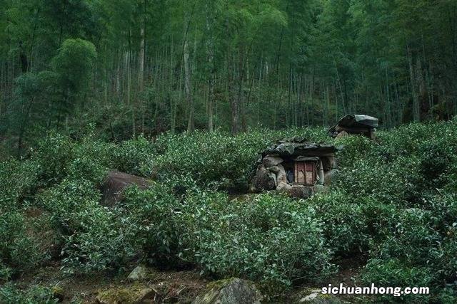 新年美食自驾线路,你想走哪一条?