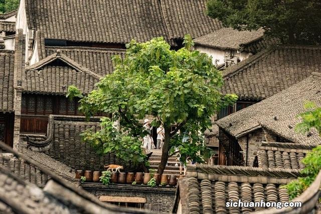 新年美食自驾线路,你想走哪一条?