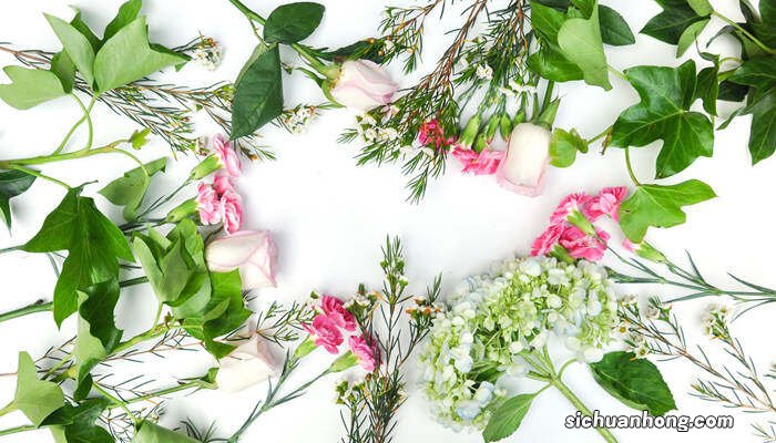 六月雪花语和寓意 六月雪花语