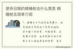 使命召唤的精确射击什么意思 精确射击简单介绍