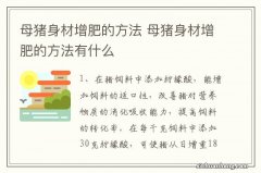 母猪身材增肥的方法 母猪身材增肥的方法有什么