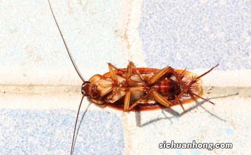 潜藏致癌风险的日常生活用品 买类似用品要看成分