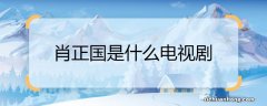 肖正国是什么电视剧 肖正国出自什么电视剧