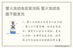 萤火虫幼虫会发光吗 萤火虫幼虫能不能发光