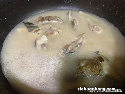 鱼汤多久能煮白