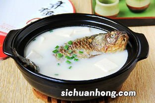 鱼汤多久能煮白