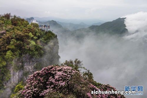 龙头山在汉中哪个县