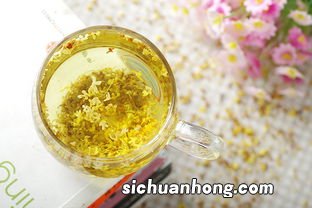 桂花要怎么自制成茶
