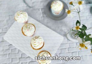 打奶油糖粉用什么代替吗