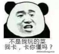 偏激是什么意思