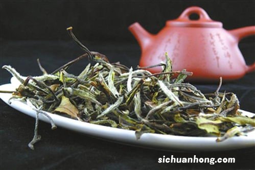 镇江白茶怎么样