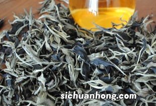 月光白普洱生茶怎么泡