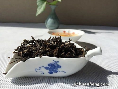 月光白普洱生茶怎么泡