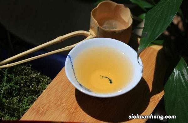 月光白普洱生茶怎么泡