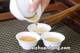 白瑞香茶怎么泡