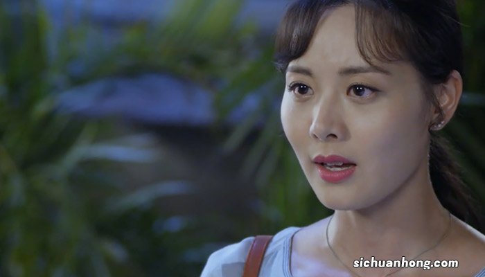 吴毅袁梅花是什么电视剧 吴毅袁梅花的电视剧