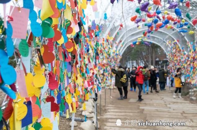 又一“白眼狼”国家，因中国游客不去旅游，大量辞退中国员工！