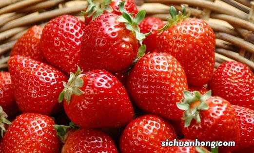 如何挑选草莓?冬季选购草莓小技巧
