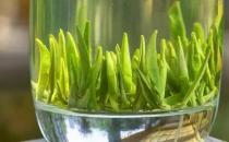 茶中佳品明前茶的独特优点 喝明前茶的注意事项