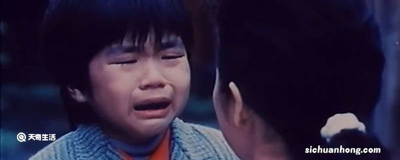 电影妈妈再爱我一次是哪一年上映的 电影妈妈再爱我一次的上映年份