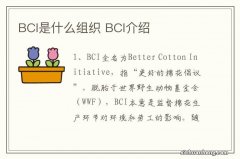 BCI是什么组织 BCI介绍