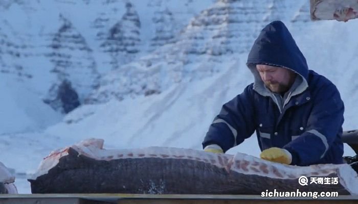 风味人间鲨鱼肉是哪一集 风味人间鲨鱼肉的集数