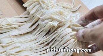 熟面条可以冷冻多久