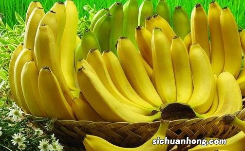 教你如何辨认是芭蕉还是香蕉