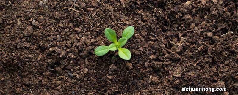 增加土壤肥力的方法有哪些三年级科学 增加土壤肥力的方法有哪些