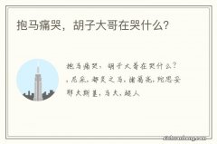 抱马痛哭，胡子大哥在哭什么？