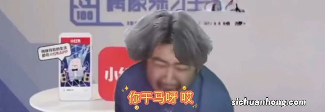 抱马痛哭，胡子大哥在哭什么？