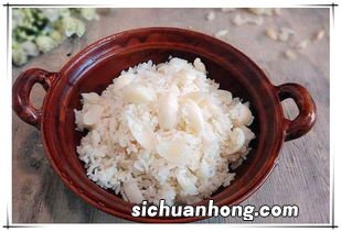百合适合和什么打豆浆