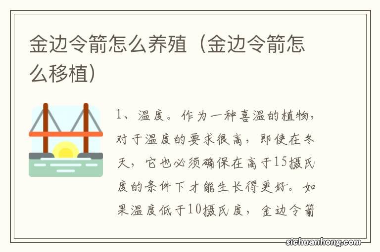 金边令箭怎么移植 金边令箭怎么养殖