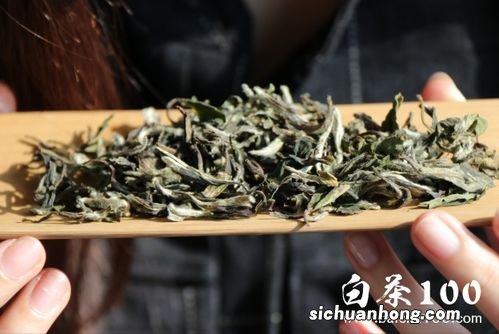白茶饼怎么煮