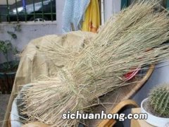 引起胆囊炎的原因-小麦秆代茶饮治胆囊炎