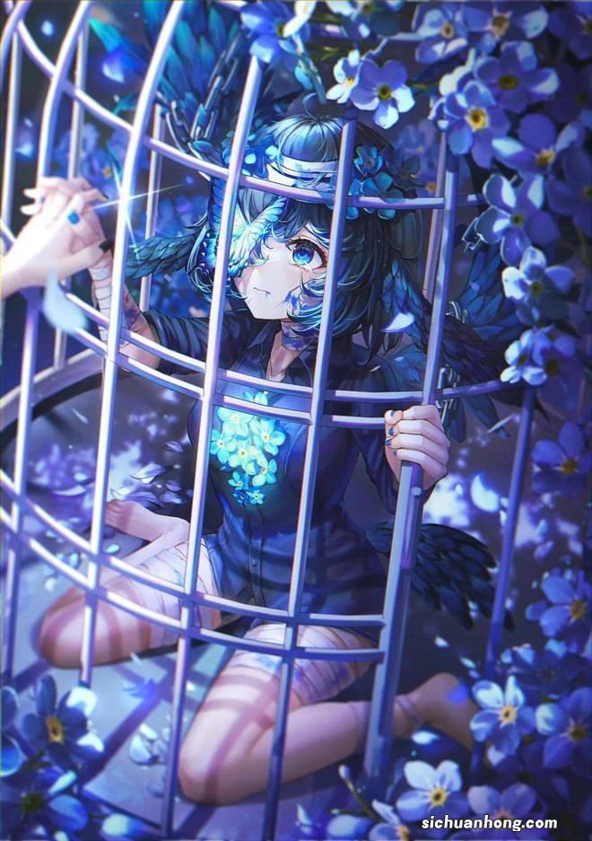 壁纸鉴赏 | 年前最后一期…