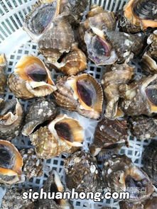 爬虾开锅后蒸多久