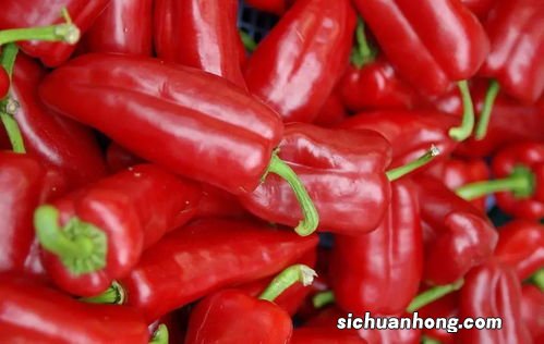 只有红椒怎么做好吃