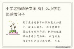 小学老师感悟文案 有什么小学老师感悟句子