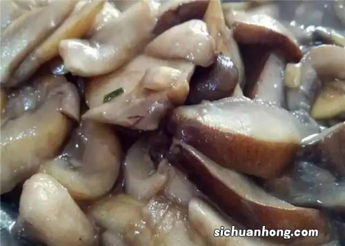 什么菇的营养价值高