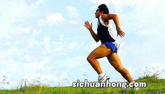 每天都跑步对身体好吗