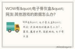 WOW有&quot;电子骨灰盒&quot; 网友:其他游戏的数据怎么办？