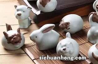 撒尿茶宠怎么养